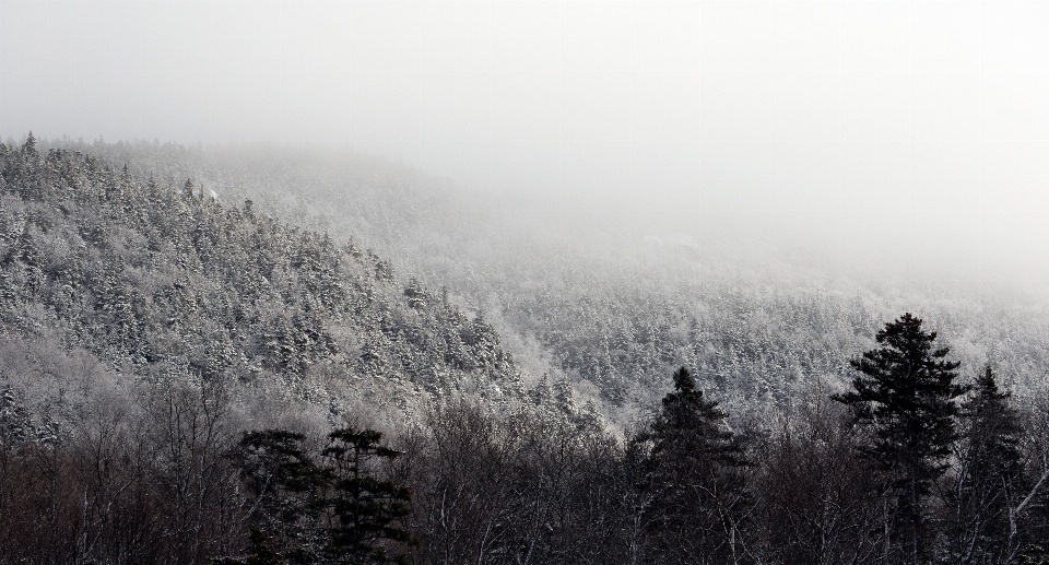 Atmosphere atmospheric phenomenon winter mist