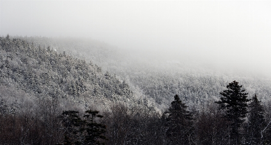 Atmosfer atmosferik fenomen
 kış sis Fotoğraf