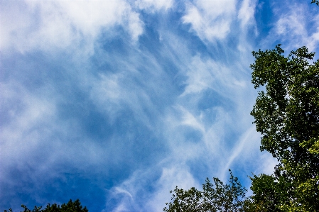 Cirrus clouds sky Photo