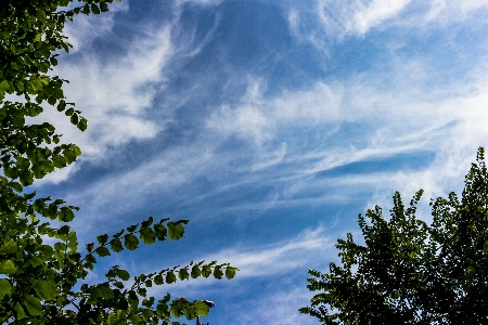 Cirrus clouds sky Photo