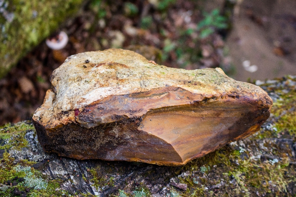 Stone flint nodule colored