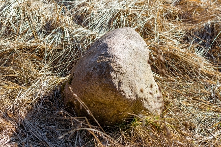 Granite boulder glacial rounded Photo