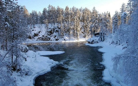 雪 山 冬 自然の風景
 写真