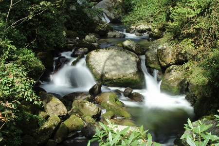 Photo Srikhola
 cascade nature plan d'eau
