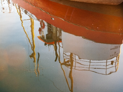 çiçek sıvı refleks su kaynakları
 Fotoğraf