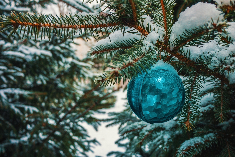 Resim dal mavi noel dekorasyonu
