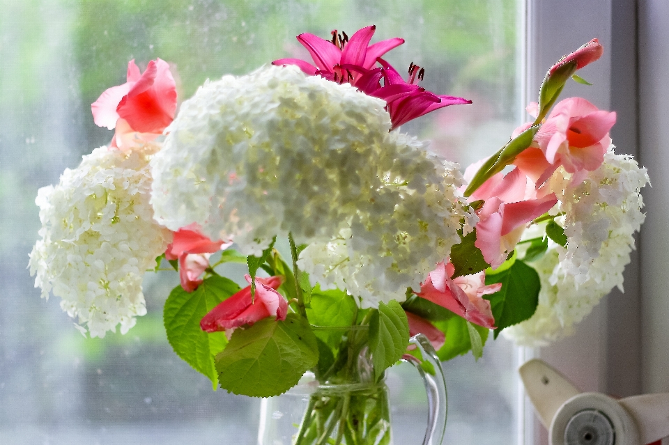 Fleurs fait maison
 hortensia blanc