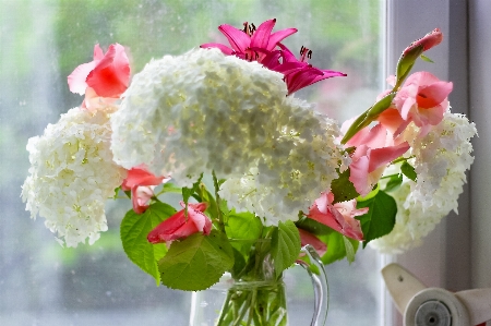 Flowers homemade hydrangea white Photo