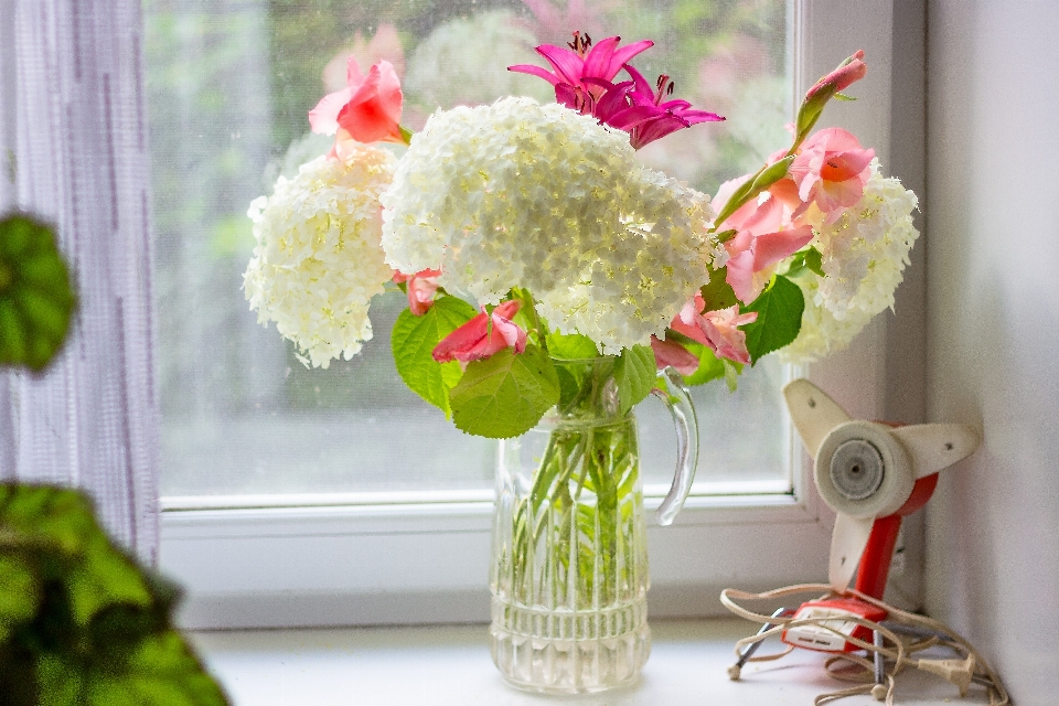 Flowers homemade hydrangea white