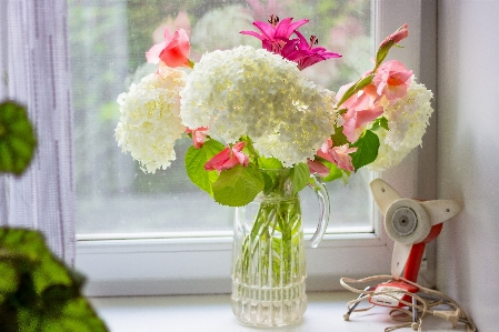 Flowers homemade hydrangea white Photo