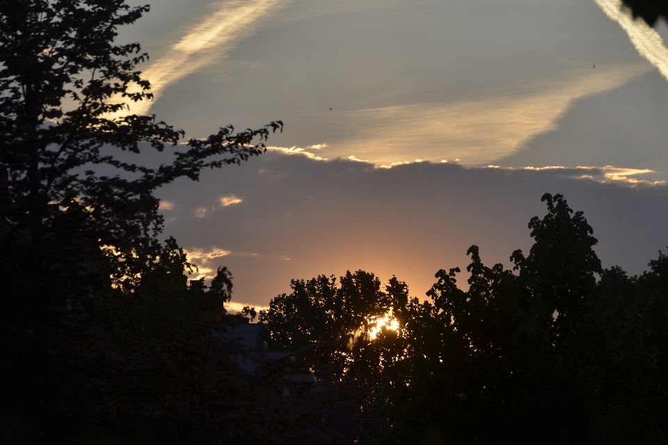 Sol da tarde
 nuvem céu atmosfera