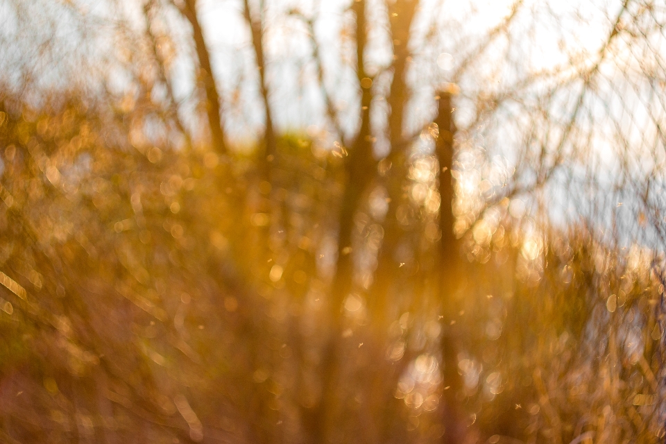 Blurred background bokeh abstract