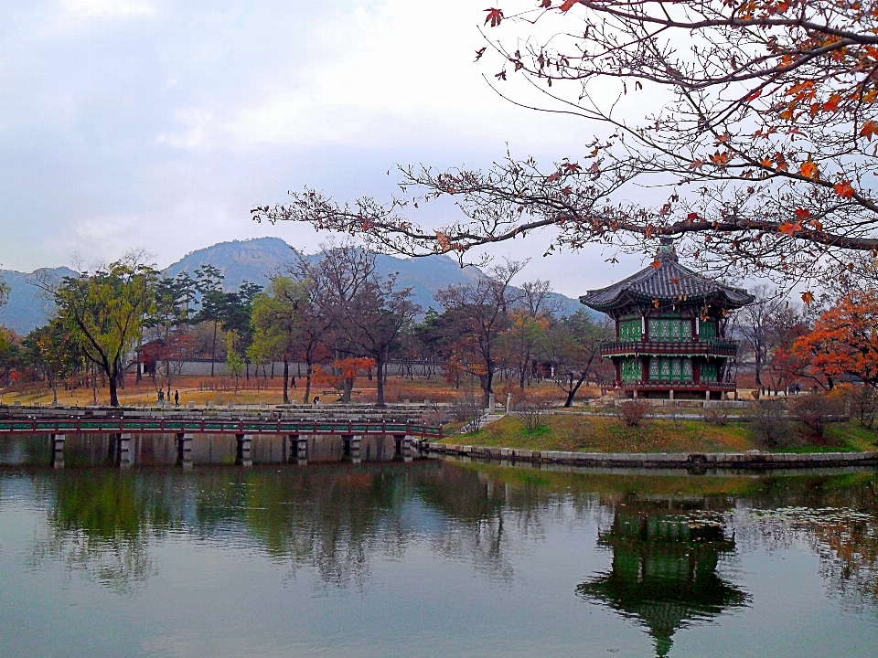 秘密の花園
 韓国 ヒャンウォンジョン
 水