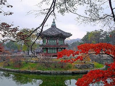 Geheimer garten
 korea hyangwonjeong
 anlage Foto