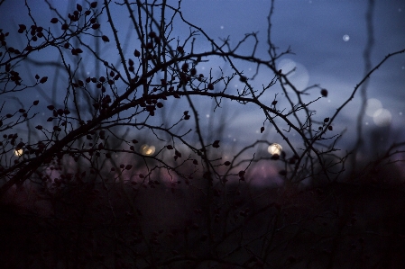 Moon atmosphere sky cloud Photo