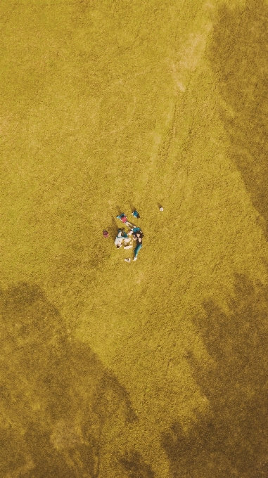 Natural ecoregion people in nature grass