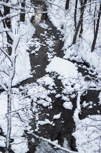 川 冬 雪 上から
 写真