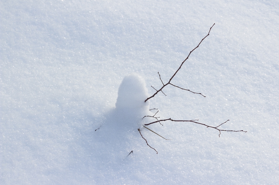 Schnee winter weiss rein