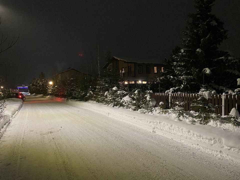 夜 冬 街 雪