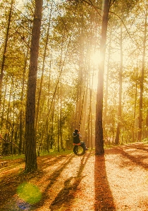 Kid forrest daylight shine Photo