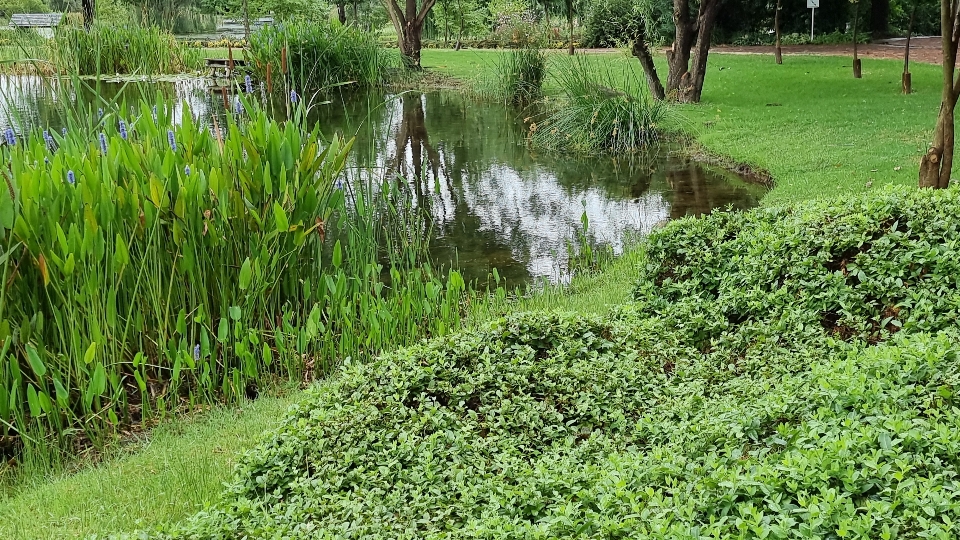 Beauté nature vert propriété de campagne
