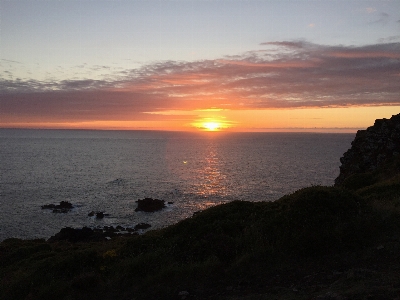 Sun set mushroom sea Photo