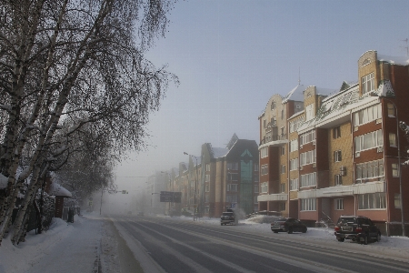 Foto Siberia
 rusia embun beku dingin