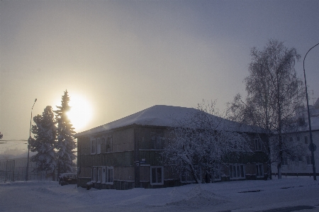 Siberia russia frost cold Photo