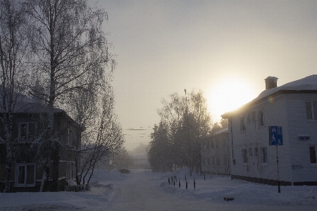 Foto Siberia
 rusia embun beku dingin