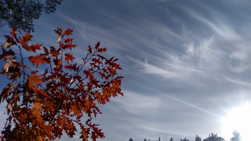 Automne nuage ciel atmosphère