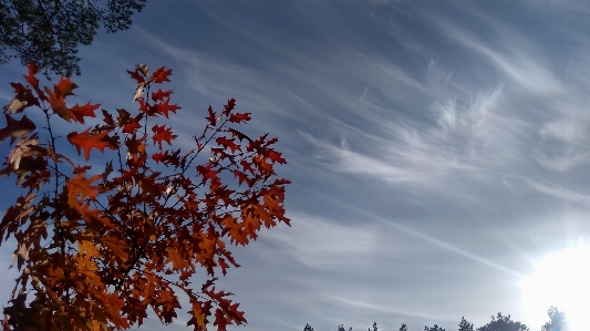 秋 クラウド 空 雰囲気 写真