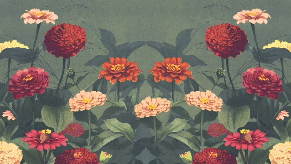 Flower floral background border