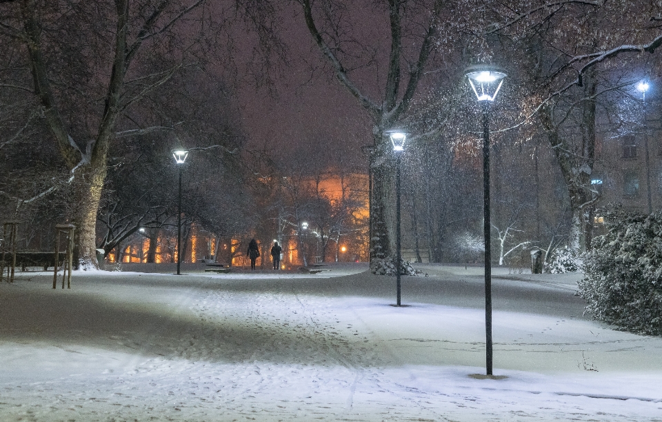 Nieve noche ciudad atmósfera