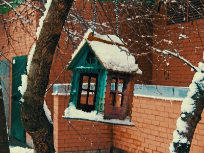 Image snow window house Photo