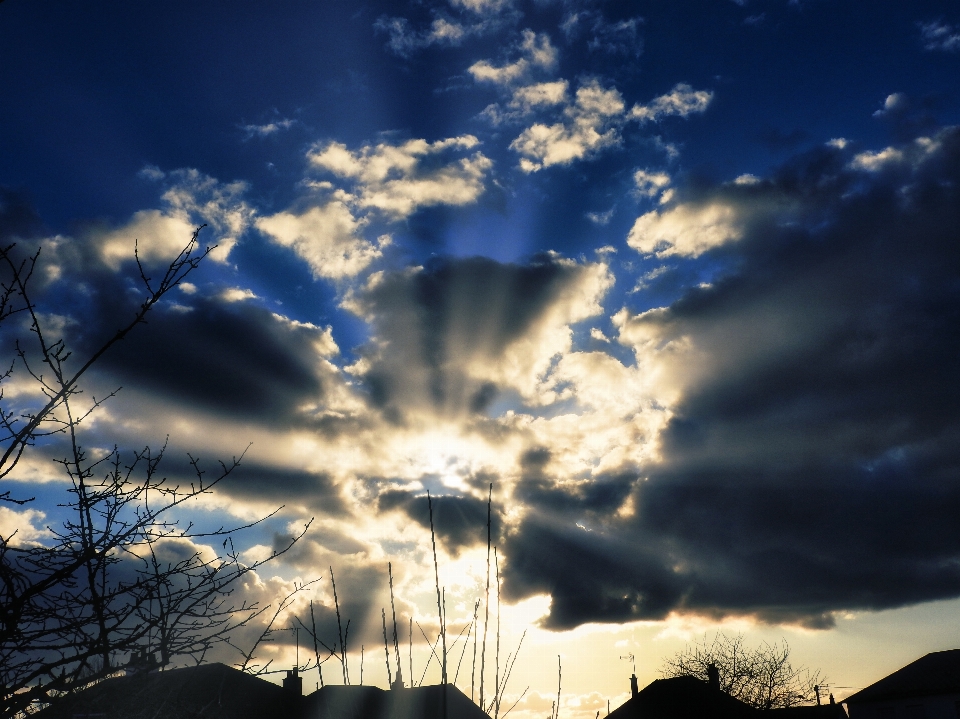 Sunset nature cloud dusk