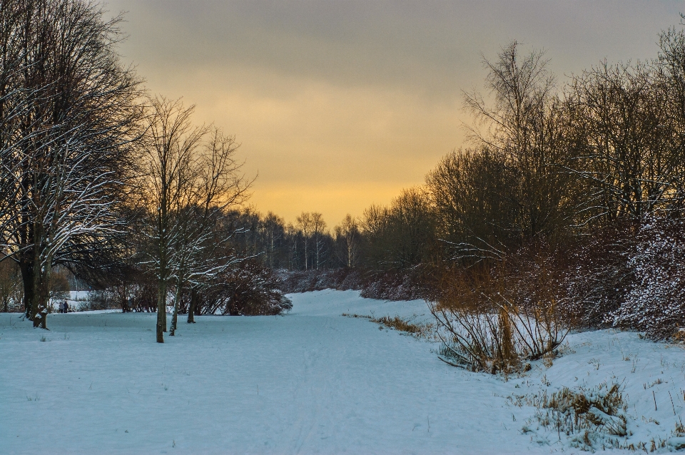 Images sky cloud snow