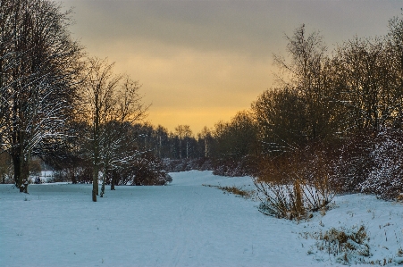 Images sky cloud snow Photo