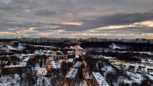 空 クラウド 植物 雪 写真