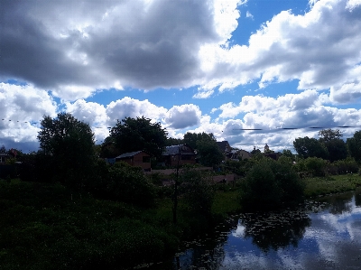 Sky cloud plant water Photo