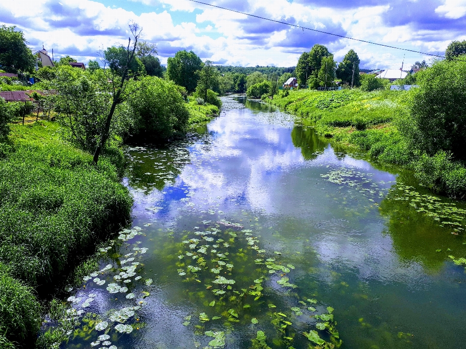 Sky water cloud plant