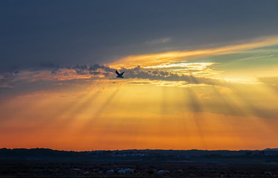 Sun cloud sky atmosphere