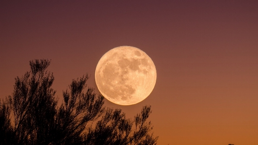 Foto Alami
 langit suasana bulan