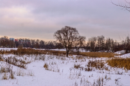 Images sky cloud snow Photo