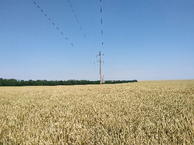 Landscape nature plant sky Photo