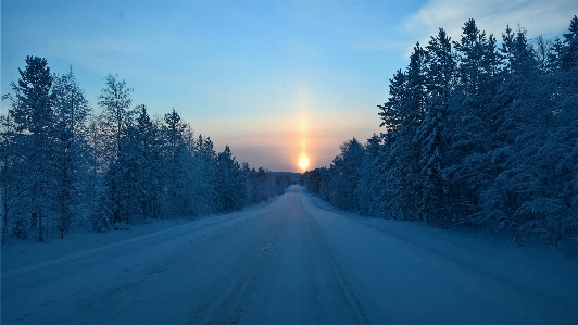 Blue forest sky sun Photo