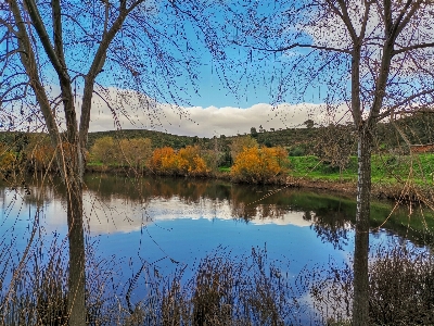 Lake water sky plant Photo