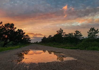 道 クラウド 空 植物 写真