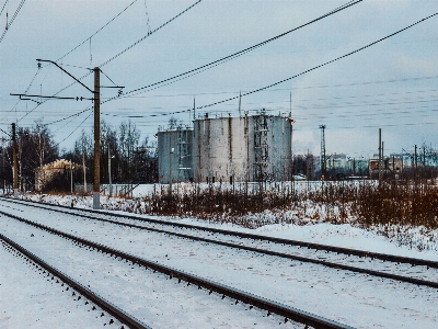 Images sky building plant Photo