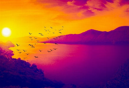 Birds sea mountain clouds Photo