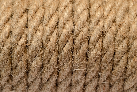 Rope background cord hemp Photo